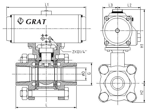 SS316 Easy Install Quick Clean Motorized Sanitary Ball Valve with Tri Clamp Ends